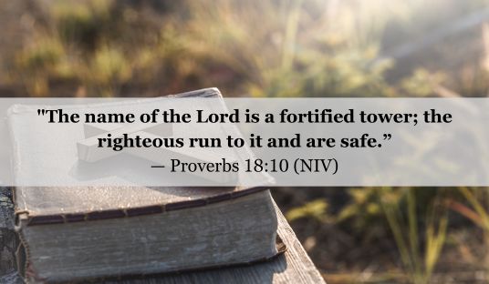 Proverbs 18:10 (NIV) — Today’s Verse for January 18, 2025 Saturday