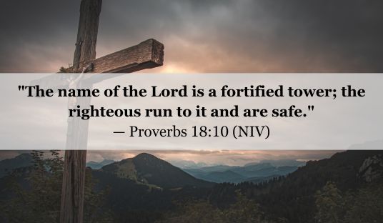 Proverbs 18:10 (NIV) — Today’s Verse for January 21, 2025 Wednesday