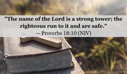 Proverbs 18:10 (NIV) — Today’s Verse for February 5, 2025 Wednesday