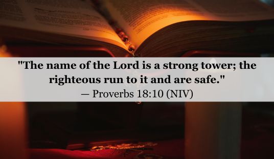 Proverbs 18:10 (NIV) — Today’s Verse for February 16, 2025 Sunday