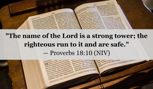 Proverbs 18:10 (NIV) — Today’s Verse for February 10, 2025 Monday