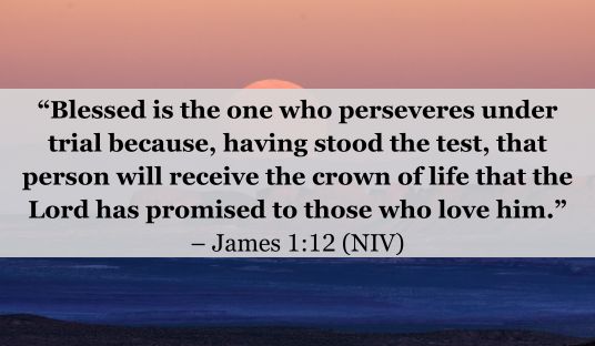 Bible Verse of the Day