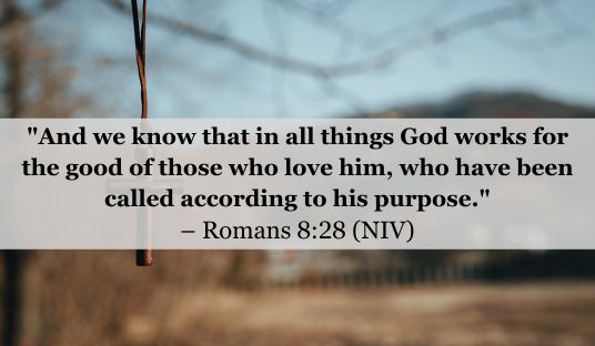 Bible Verse of the Day – May 5, 2025