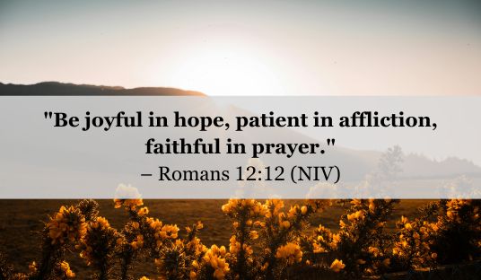 Bible Verse of the Day – May 10, 2025